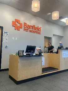 Banfield Pet Hospital Braintree MA