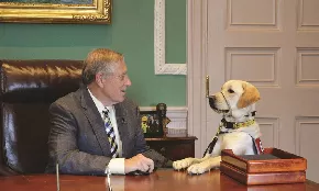 NEADS | Dogs for Deaf and Disabled Americans-Princeton-MA